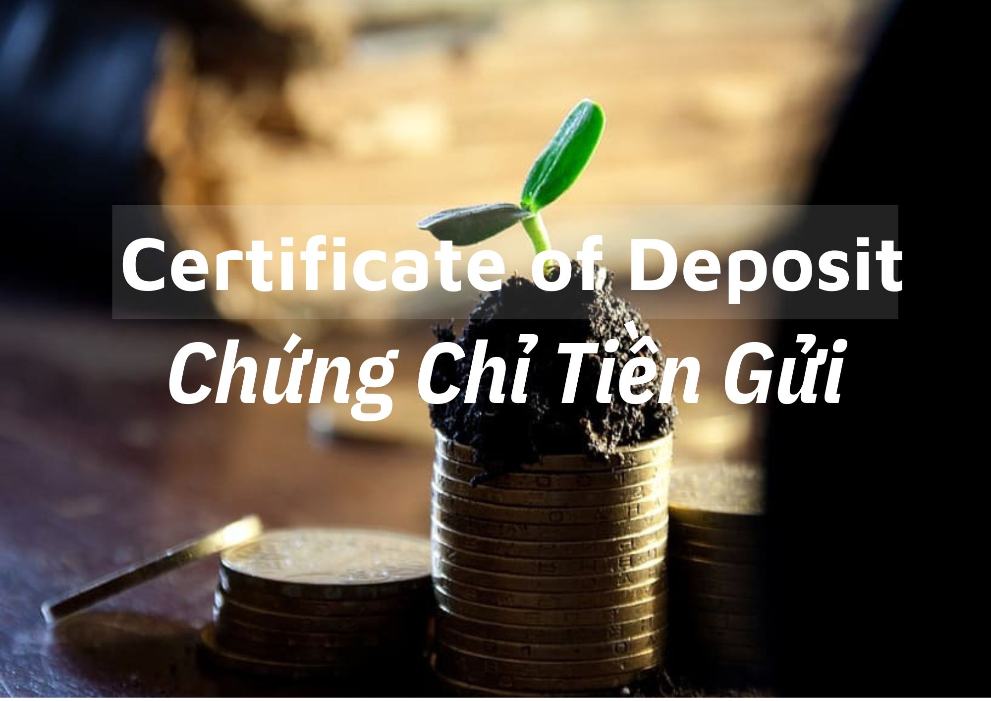 Phát Hành Chứng Chỉ Tiền Gửi Trong Nước Của Tổ Chức Tín Dụng, Chi Nhánh Ngân Hàng Nước Ngoài_ Thông Tư 02/2025/TT-NHNN Của Ngân Hàng Nhà Nước Việt Nam.